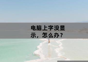 电脑上字没显示,怎么办?-图片2